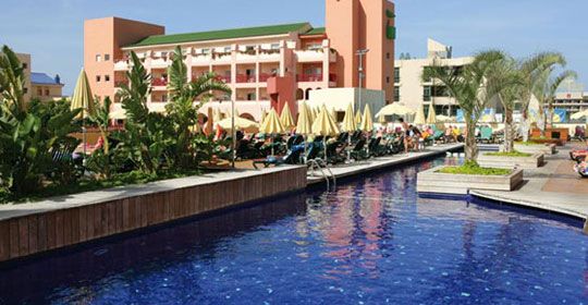 Jacaranda - Tenerife pas cher photo 1