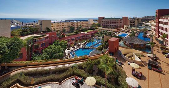 Jacaranda - Tenerife pas cher photo 2