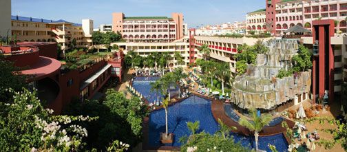 Jacaranda - Tenerife pas cher photo 6