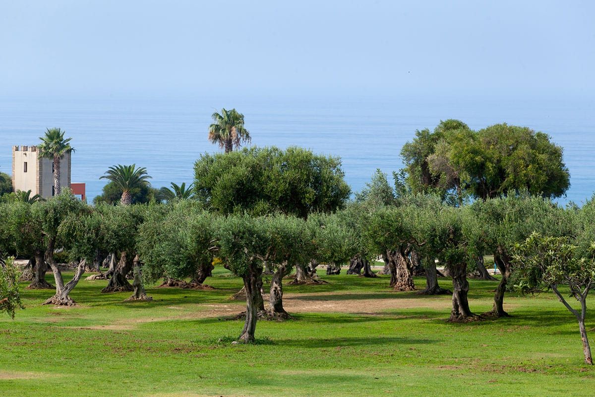 Club Marmara Alicudi - Vols Réguliers pas cher photo 8