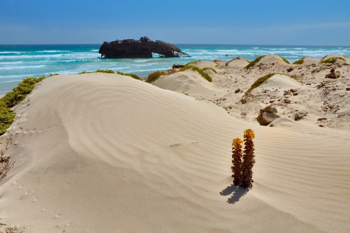 Club Héliades Riu Karamboa 5* pas cher photo 3