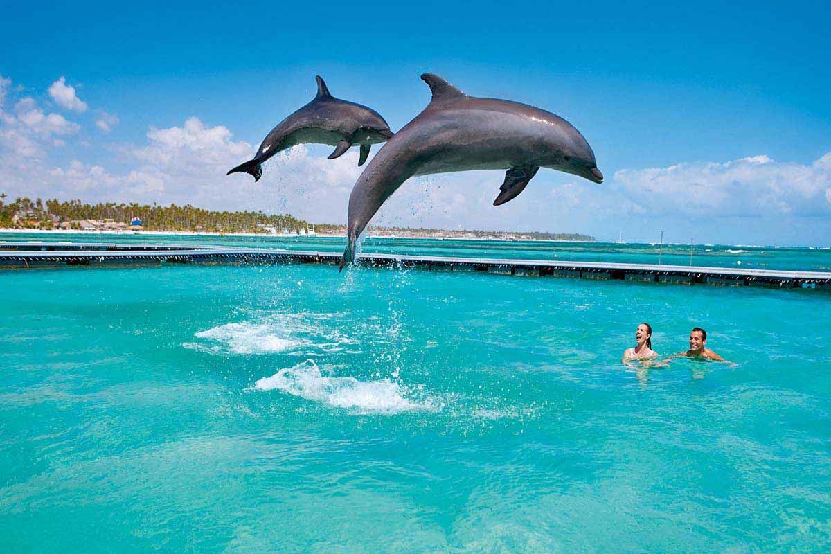 Club Héliades Grand Bavaro Princess 5* - Arrivée St Domingue pas cher photo 5