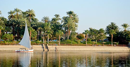 Top Clubs Cocoon Mercure Luxor Karnak en formule tout compris - Luxor pas cher photo 5