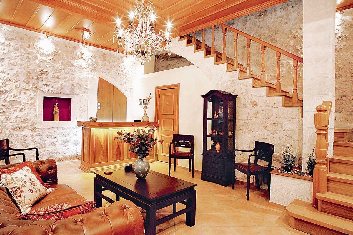 Léo Cat.A pas cher photo 5