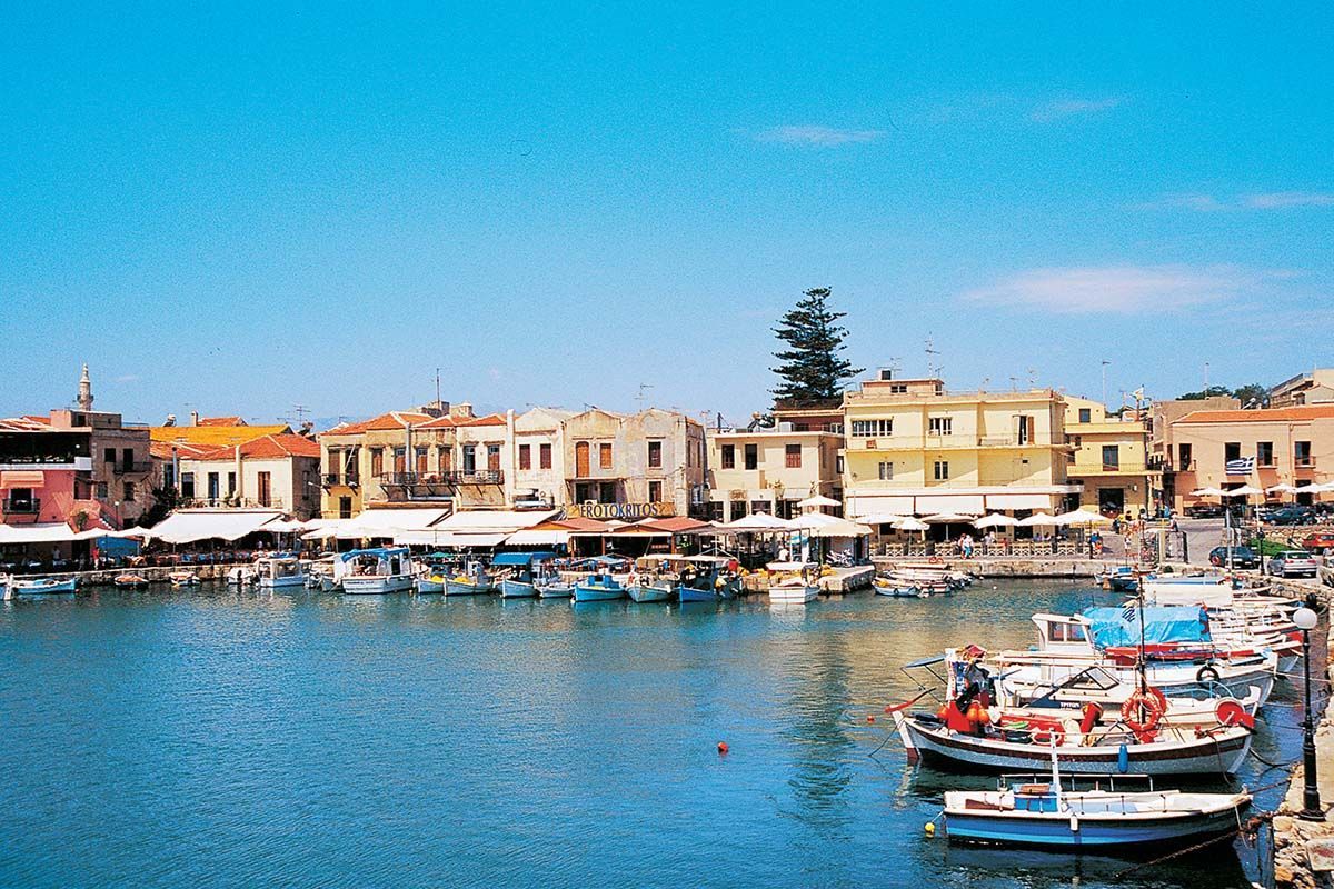 Léo Cat.A pas cher photo 9