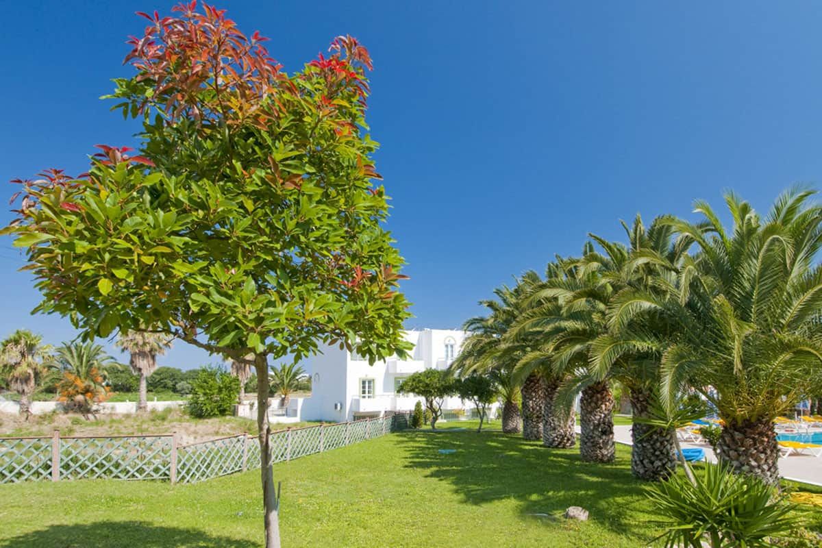 Alexandra Beach Hôtel pas cher photo 7