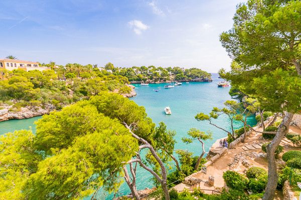 Barcelo Ponent Playa 3* pas cher photo 3