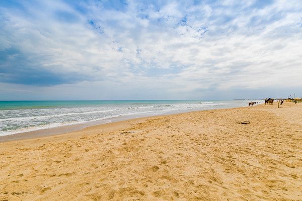 Paradis 4* pas cher photo 7