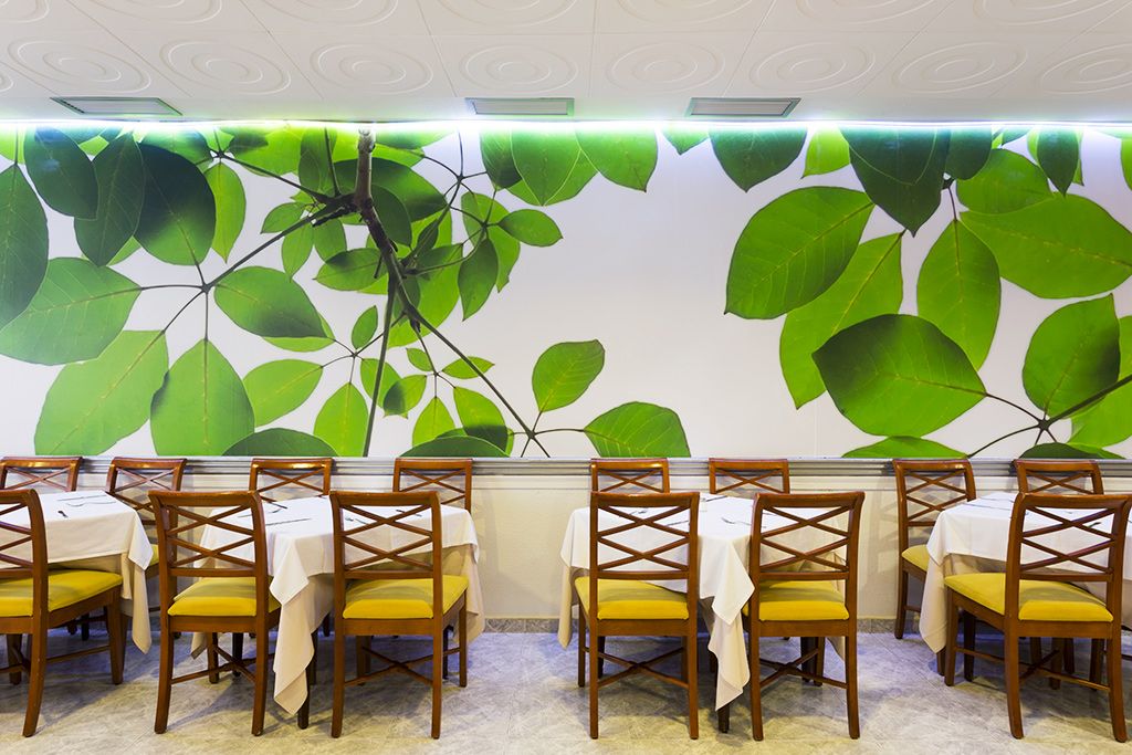 Bahia De Palma 3* pas cher photo 9