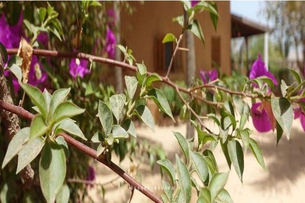 Hôtel Keur Marrakis 3* pas cher photo 8