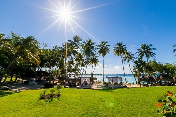 Hôtel Hilton La Romana Family (ex Dreams La Romana) 5* pas cher photo 7