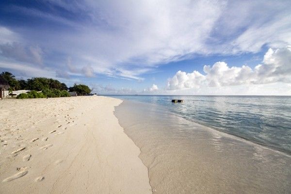 Hôtel Tropic Tree 3* pas cher photo 1