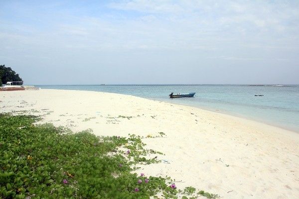 Hôtel Tropic Tree 3* pas cher photo 7