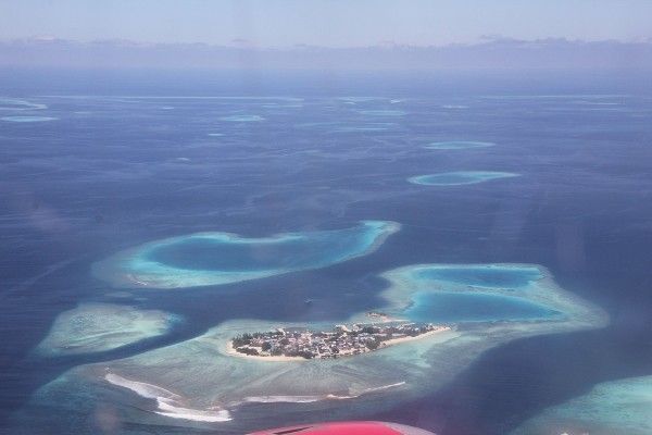 Hôtel Tropic Tree 3* pas cher photo 8