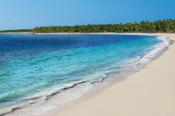 Hôtel Now Larimar Punta Cana Resort & Spa 5* pas cher photo 3