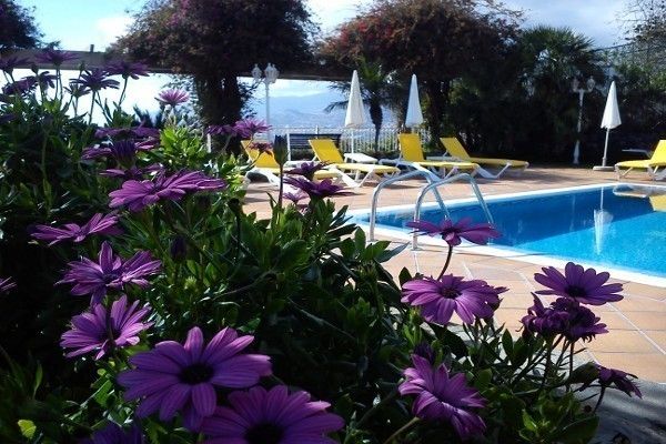 Ocean Gardens 4* pas cher photo 12