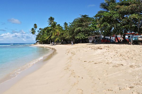 Hôtel Lantana Resort Barbados 3* pas cher photo 28